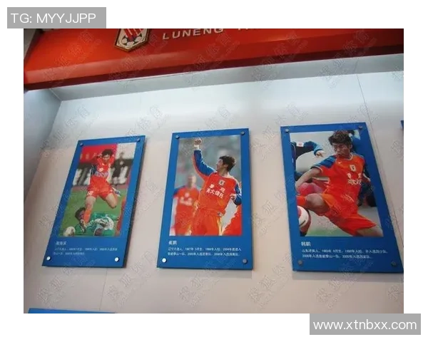 2015年南京足球的辉煌历程与发展现状分析